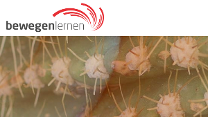 <b>bewegen</b>lernen